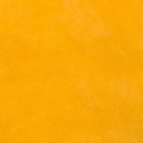 Daim Jaune